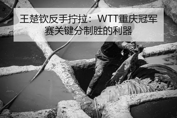 王楚钦反手拧拉：WTT重庆冠军赛关键分制胜的利器