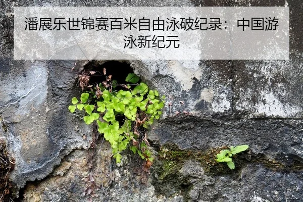潘展乐世锦赛百米自由泳破纪录：中国游泳新纪元