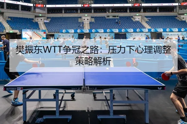樊振东WTT争冠之路：压力下心理调整策略解析